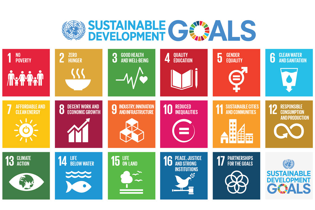 UN Development Goals